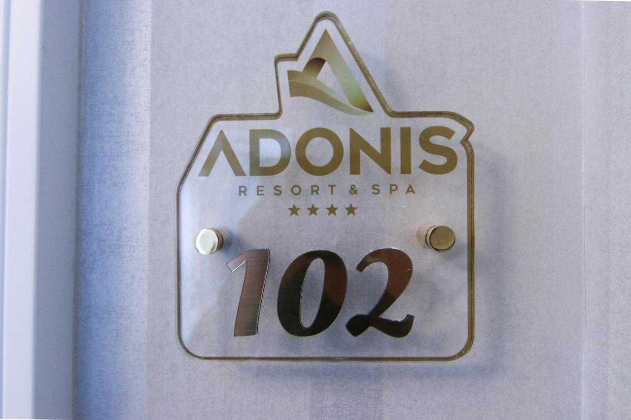 Adonis & 4* 兹拉蒂博尔