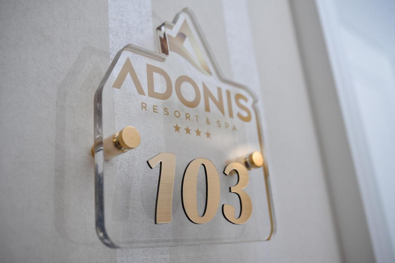 公寓式酒店 Adonis &