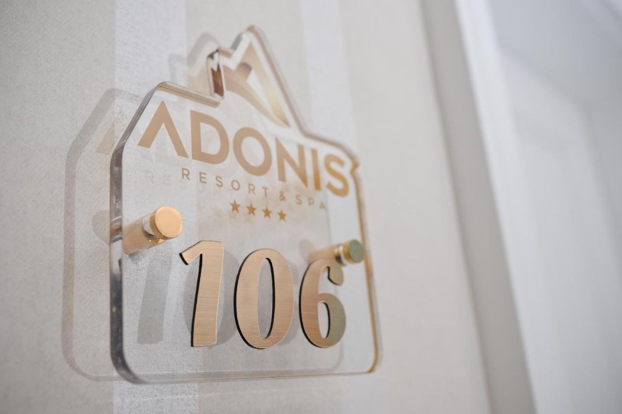 公寓式酒店 Adonis &