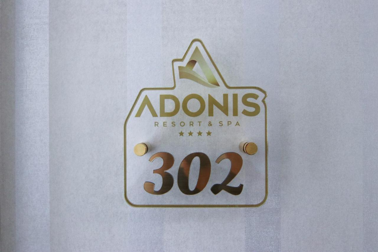 公寓式酒店 Adonis & 4*